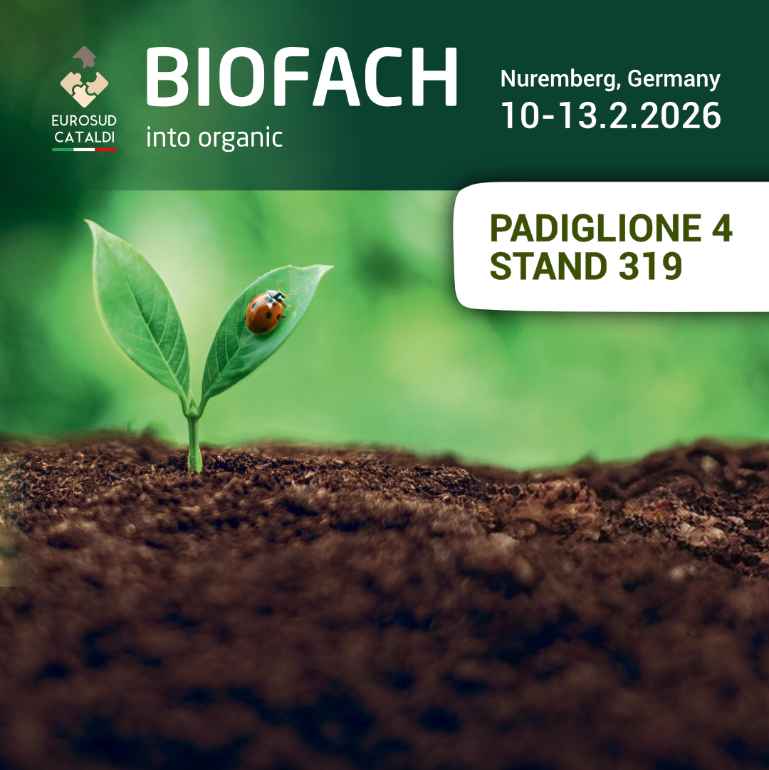 Featured image for &ldquo;Biofach 2026&rdquo;